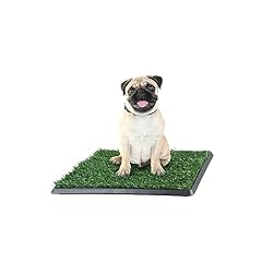Artificial grass puppy for sale  Delivered anywhere in USA 
