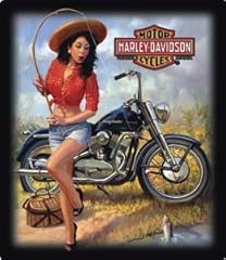 Harley davidson nice for sale  Delivered anywhere in USA 