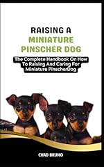 Miniature pinscher dog for sale  Delivered anywhere in UK