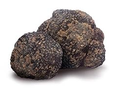 Tartufo nero estivo usato  Spedito ovunque in Italia 