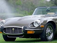 Jaguar type type for sale  Delivered anywhere in USA 