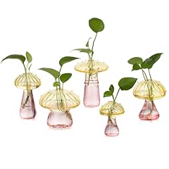 Glasseam mushroom plant for sale  Delivered anywhere in USA 