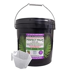 Lb. perfect palm for sale  Delivered anywhere in USA 