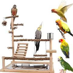 Govnpj bird playground for sale  Delivered anywhere in USA 