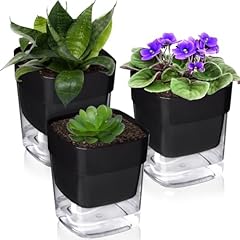 Iwntwy self watering for sale  Delivered anywhere in USA 
