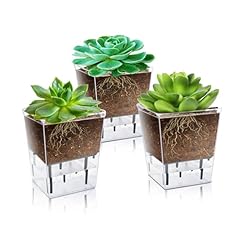Iwntwy self watering for sale  Delivered anywhere in USA 