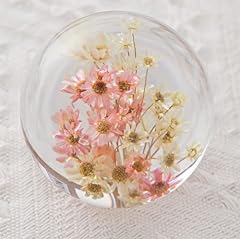 Zhyx daisy crystal for sale  Delivered anywhere in UK