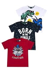 Chicco set shirt usato  Spedito ovunque in Italia 