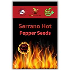 Serrano hot pepper for sale  Delivered anywhere in USA 