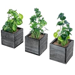 Mygift trio artificial for sale  Delivered anywhere in USA 