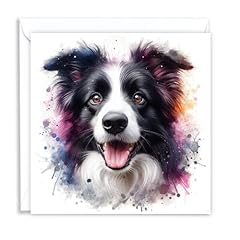 Border collie dog for sale  Delivered anywhere in UK