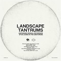 Landscape tantrums unfinished gebraucht kaufen  Wird an jeden Ort in Deutschland