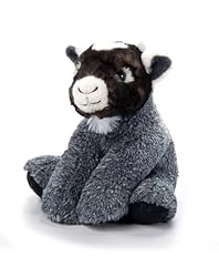 Petting zoo pygmy for sale  Delivered anywhere in USA 