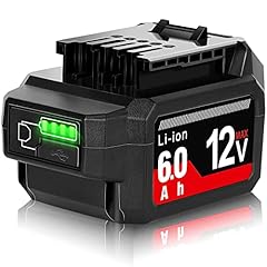 Tenhutt 12v replacement for sale  Delivered anywhere in USA 