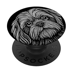Shih tzu dog for sale  Delivered anywhere in USA 