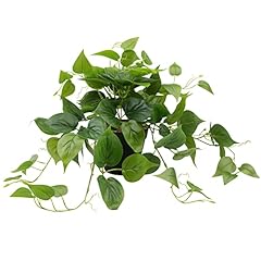 Loywree artificial plants for sale  Delivered anywhere in USA 