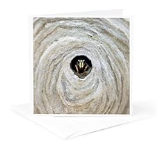 3drose greeting card for sale  Delivered anywhere in USA 