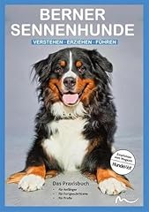 Berner sennenhunde verstehen gebraucht kaufen  Wird an jeden Ort in Deutschland
