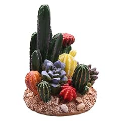 Kocris casa succulents for sale  Delivered anywhere in USA 