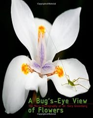Bug eye view for sale  Delivered anywhere in UK