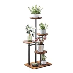 Vondream tier plant for sale  Delivered anywhere in USA 
