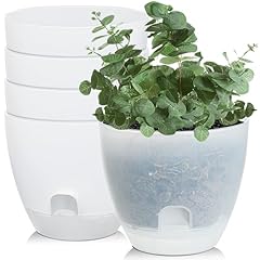 Iwntwy plant pots for sale  Delivered anywhere in USA 