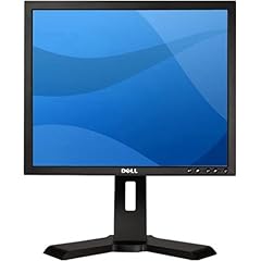 Dell professional p190s for sale  Delivered anywhere in USA 