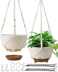 Koalaime hanging planters for sale  Delivered anywhere in USA 