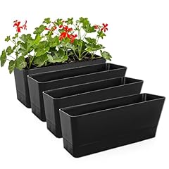Apacali pack rectangular for sale  Delivered anywhere in UK