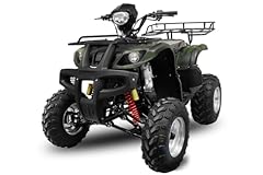Nitro motors 250cc gebraucht kaufen  Wird an jeden Ort in Deutschland