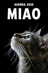 Miao agenda planner usato  Spedito ovunque in Italia 