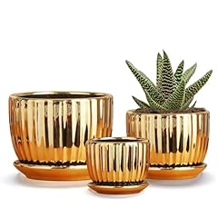 Ton sin gold for sale  Delivered anywhere in USA 