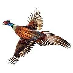 Next innovations pheasant for sale  Delivered anywhere in USA 