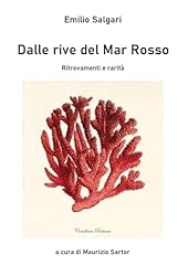 Dalle rive del usato  Spedito ovunque in Italia 