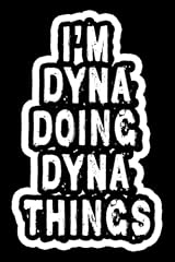 Dyna doing dyna usato  Spedito ovunque in Italia 