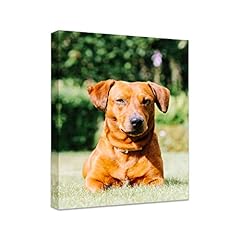 Personalized photo canvas for sale  Delivered anywhere in USA 