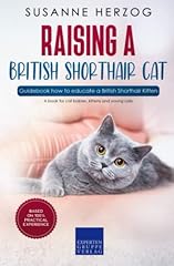 Raising british shorthair for sale  Delivered anywhere in Ireland