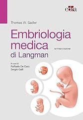 Embriologia medica langman usato  Spedito ovunque in Italia 