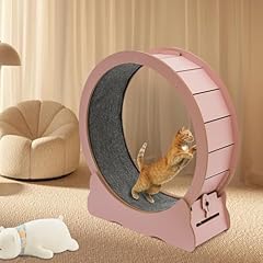 Cat exercise wheel for sale  Delivered anywhere in USA 