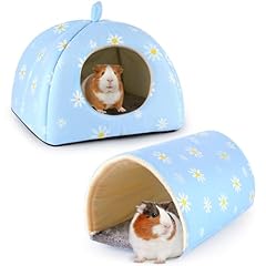 Bienbee guinea pig for sale  Delivered anywhere in USA 
