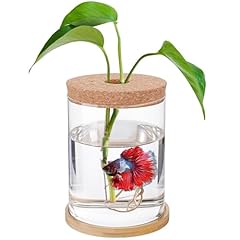 Desktop fish bowl for sale  Delivered anywhere in USA 