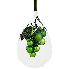 Northlight green grape for sale  Delivered anywhere in USA 