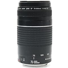 Canon 300mm 5.6 for sale  Delivered anywhere in USA 