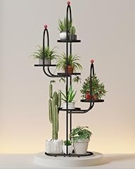 Bamworld cactus plant for sale  Delivered anywhere in USA 