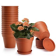 Fhwty inch plant for sale  Delivered anywhere in USA 