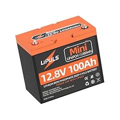 12v 100ah mini for sale  Delivered anywhere in USA 