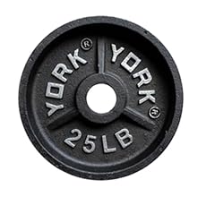 York barbell 25lb for sale  Delivered anywhere in USA 