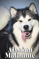 Alaskan malamute train for sale  Delivered anywhere in USA 