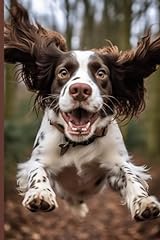 Springer spaniel notebook for sale  Delivered anywhere in Ireland