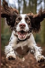 Springer spaniel notebook for sale  Delivered anywhere in UK